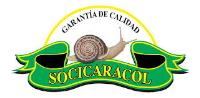 SOCICARACOL S.L.
