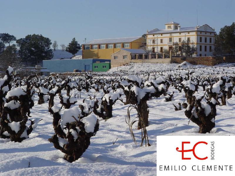 BODEGAS EMILIO CLEMENTE - S.A.T. 7237 FINCA CABALLERO
