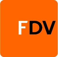 FDV CONSULTING
