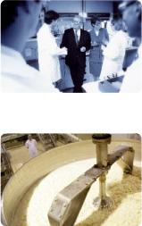 BEL FOODSERVICE
