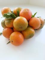 Mandarina Clemenules