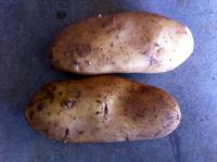 Patatas SPUNTA