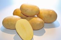 Patatas FONTANE