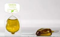 Monodosis Aceite de Oliva Virgen Extra Aromatizado 10ml- (Albahaca 360 und)
