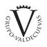 GRUPO VALDECUEVAS 