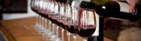 EL CLUB DE LOS VINOS