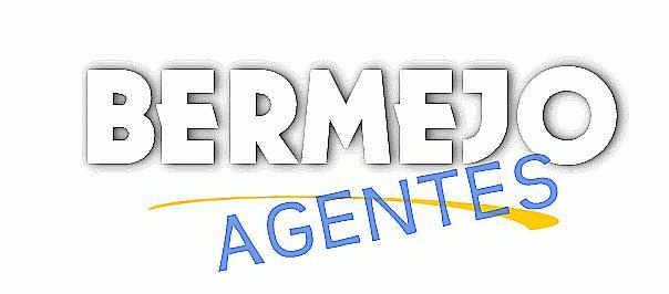 BERMEJO AGENTES S.L