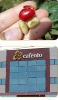 CAFENTO CATALUNYA - CAFÉ ROVI, SA