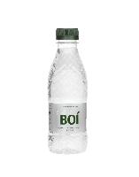 Agua Caldes De Boí PET 0,33 L.