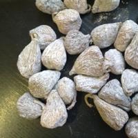 Higos "Calabacita"