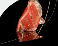 Jamón de bellota ibérico puro Gran Reserva