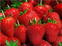 Fresas AJP