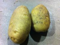 Patatas BELLINI
