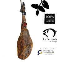 JAMON IBERICO BELLOTA CERTIFICADO