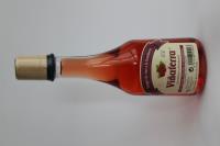 Vinagres Viñaterra