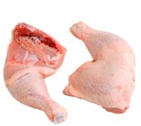 Aves