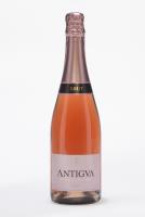 ANTIGVA BRUT ROSE