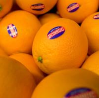 Naranjas BONSUC