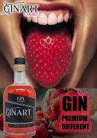 Ginebra Premium GinartCuore