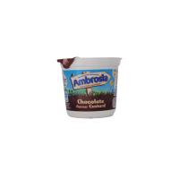 AMBROSIA NATILLAS SABOR CHOCOLATE POT 12/120GR