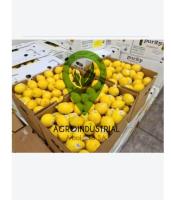 limones jugosos 